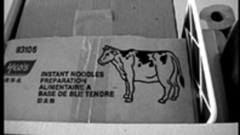 La vache et le prisonnier